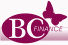 BC FINANCE credit