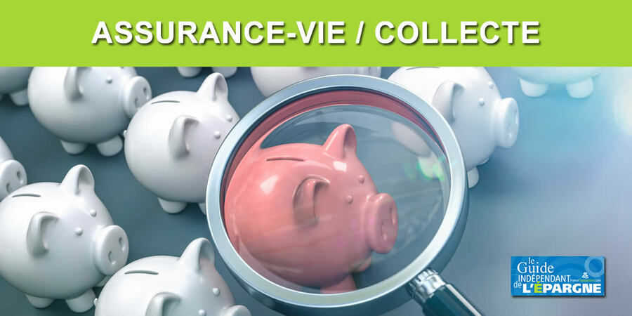 Assurance-vie : plus de 11 milliards d'euros versés en mai, avec un record historique de collecte sur les unités de compte