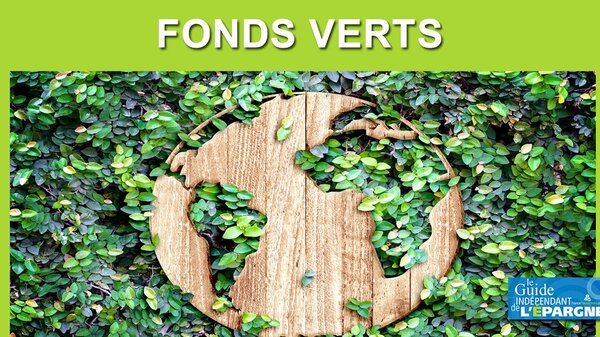 Les fonds verts et socialement responsables ont le vent en poupe (+60% au 3e trimestre 2019)