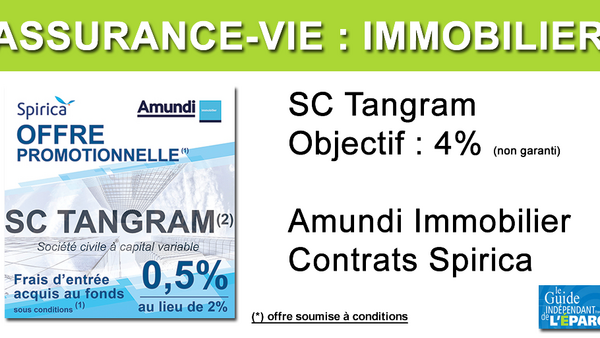 Immobilier en Assurance-vie : la SC Tangram accessible à frais réduits jusqu'au 31 décembre 2019