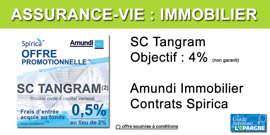Immobilier en Assurance-vie : la SC Tangram accessible à frais réduits jusqu'au 31 décembre 2019